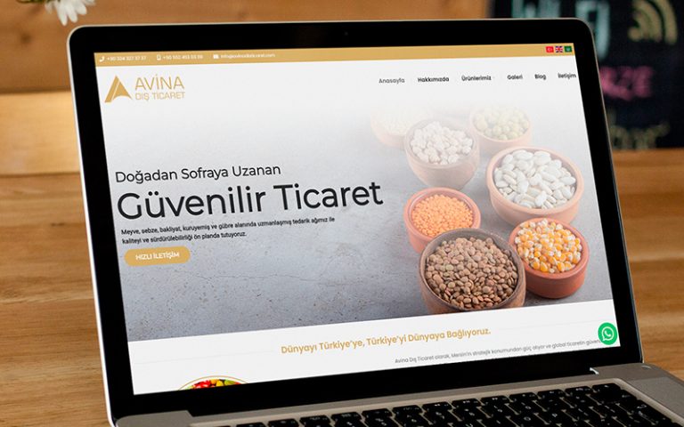 Avina Dış Ticaret